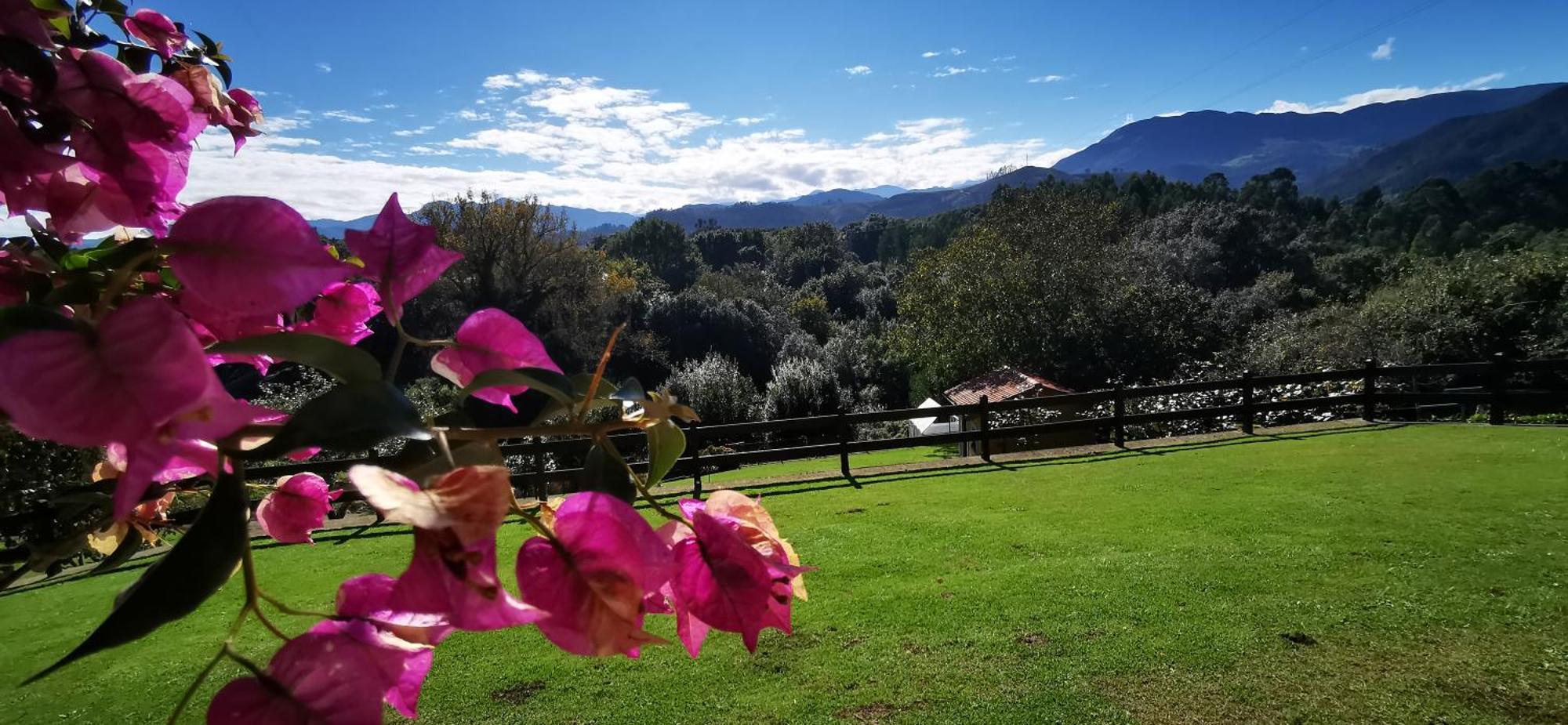 El Corral Del Acebo Konuk evi Nueva De Llanes Dış mekan fotoğraf